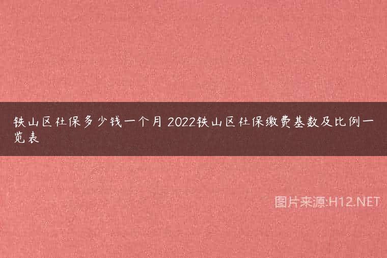 铁山区社保多少钱一个月 2022铁山区社保缴费基数及比例一览表