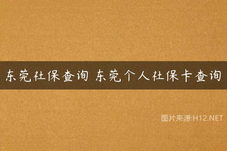 东莞社保查询 东莞个人社保卡查询