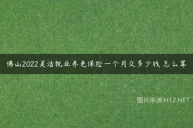 佛山2022灵活就业养老保险一个月交多少钱 怎么算