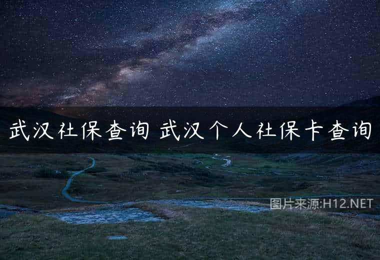武汉社保查询 武汉个人社保卡查询