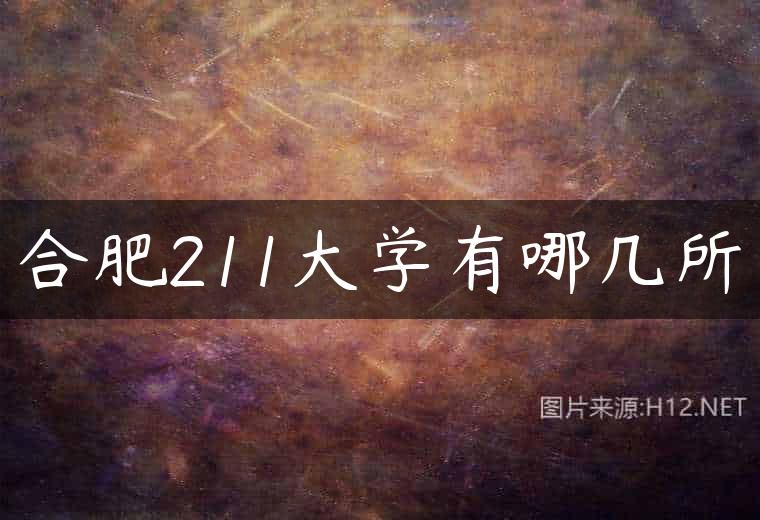合肥211大学有哪几所