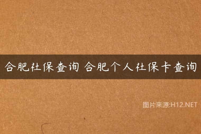 合肥社保查询 合肥个人社保卡查询