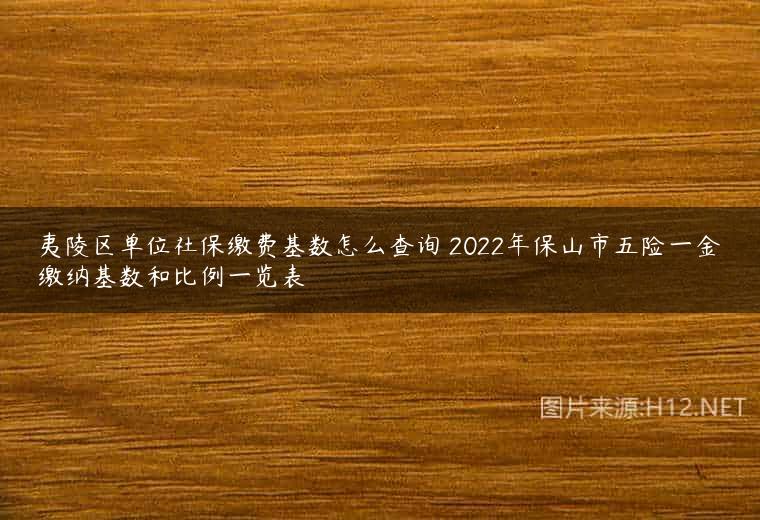 夷陵区单位社保缴费基数怎么查询 2022年保山市五险一金缴纳基数和比例一览表