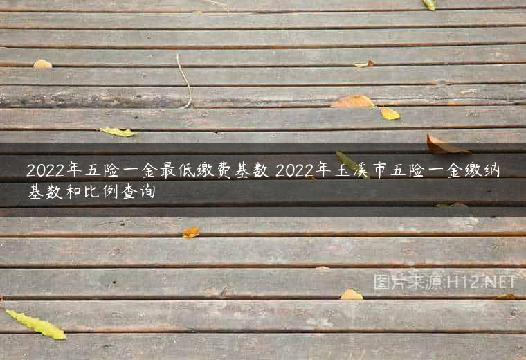 2022年五险一金最低缴费基数 2022年玉溪市五险一金缴纳基数和比例查询