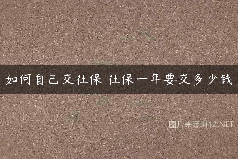 如何自己交社保 社保一年要交多少钱