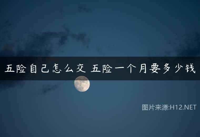 五险自己怎么交 五险一个月要多少钱
