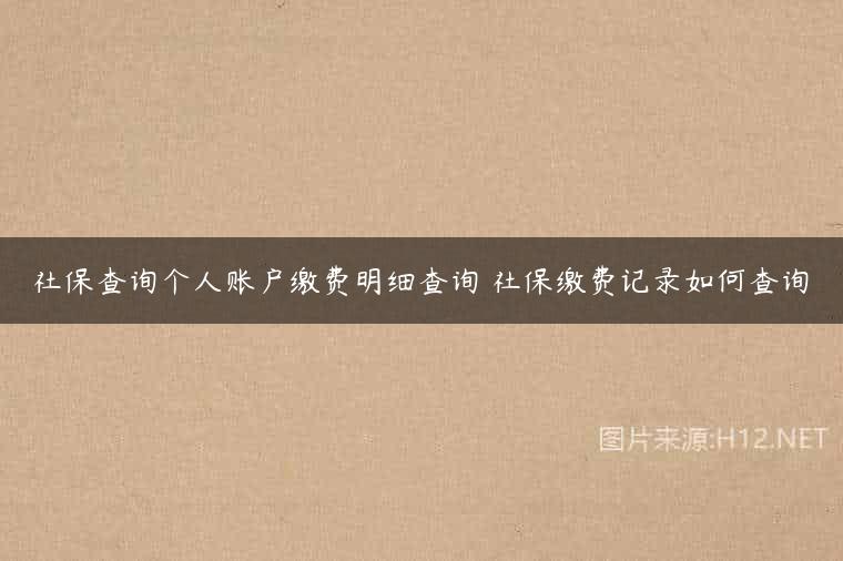 社保查询个人账户缴费明细查询 社保缴费记录如何查询