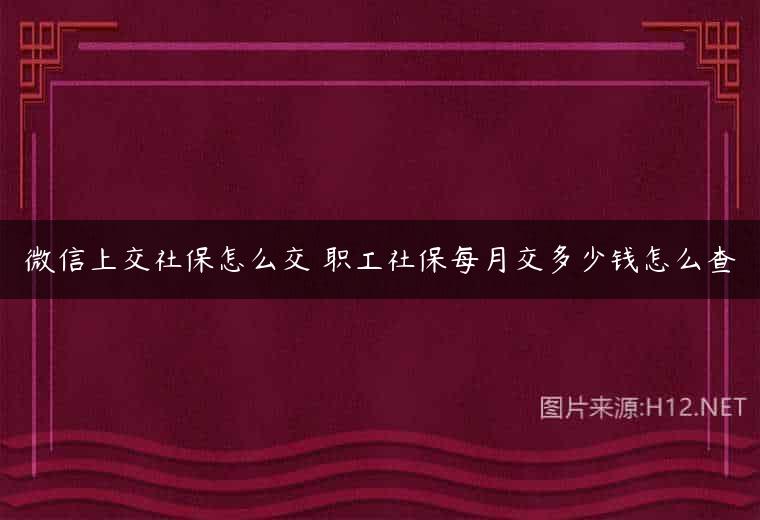 微信上交社保怎么交 职工社保每月交多少钱怎么查