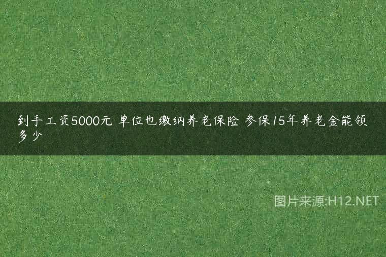 到手工资5000元 单位也缴纳养老保险 参保15年养老金能领多少