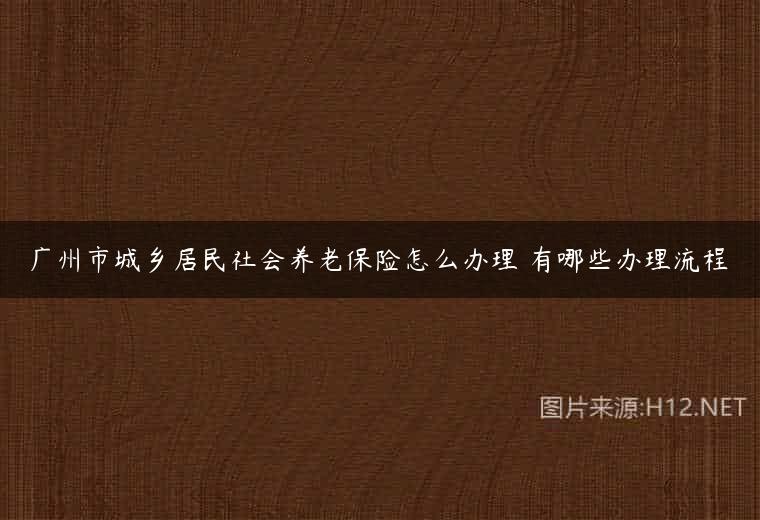 广州市城乡居民社会养老保险怎么办理 有哪些办理流程