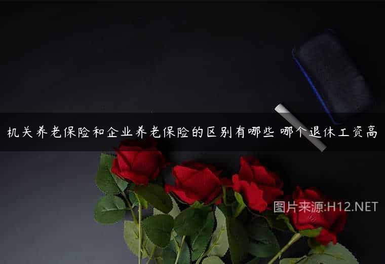 机关养老保险和企业养老保险的区别有哪些 哪个退休工资高