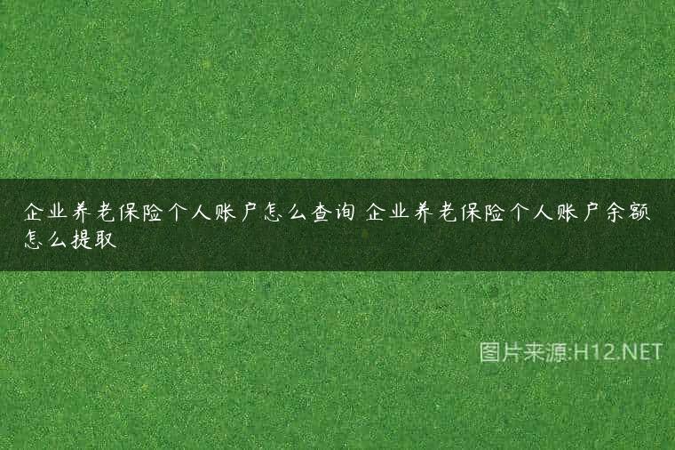 企业养老保险个人账户怎么查询 企业养老保险个人账户余额怎么提取