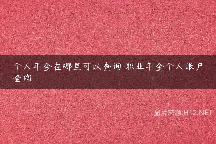 个人年金在哪里可以查询 职业年金个人账户查询