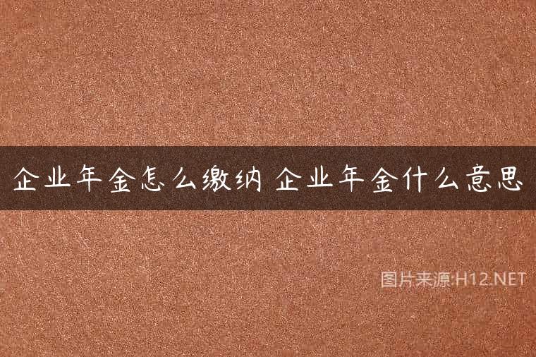 企业年金怎么缴纳 企业年金什么意思