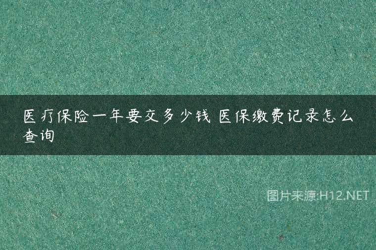 医疗保险一年要交多少钱 医保缴费记录怎么查询