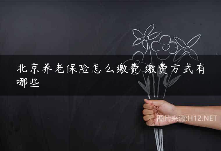 北京养老保险怎么缴费 缴费方式有哪些