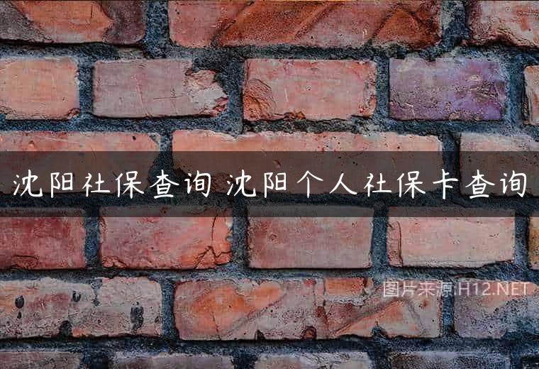 沈阳社保查询 沈阳个人社保卡查询