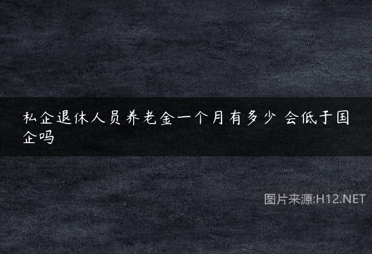 私企退休人员养老金一个月有多少 会低于国企吗