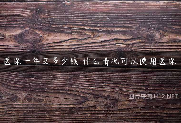 医保一年交多少钱 什么情况可以使用医保