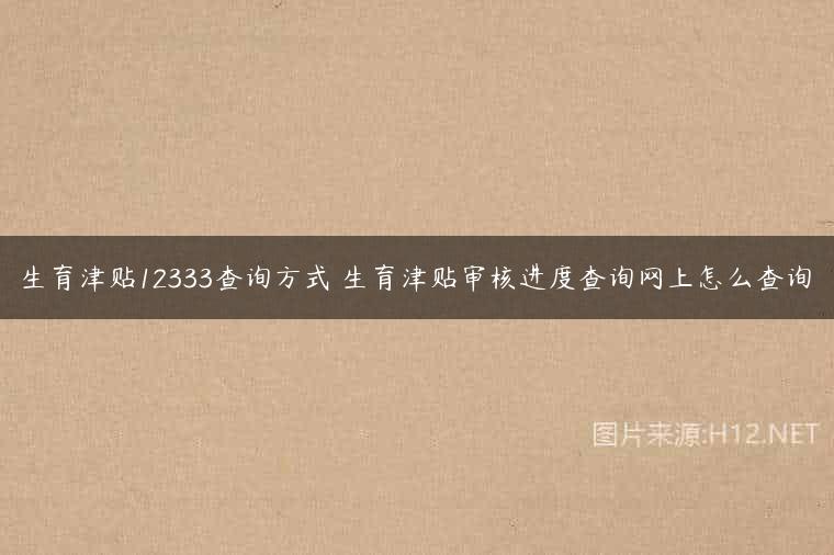 生育津贴12333查询方式 生育津贴审核进度查询网上怎么查询