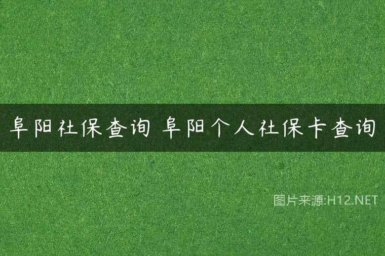 阜阳社保查询 阜阳个人社保卡查询