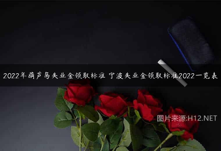 2022年葫芦岛失业金领取标准 宁波失业金领取标准2022一览表