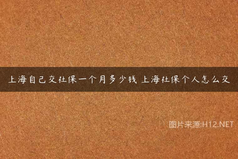 上海自己交社保一个月多少钱 上海社保个人怎么交