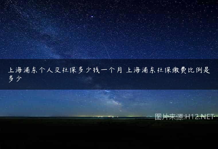 上海浦东个人交社保多少钱一个月 上海浦东社保缴费比例是多少
