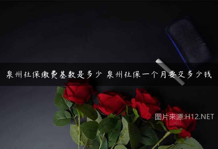 泉州社保缴费基数是多少 泉州社保一个月要交多少钱