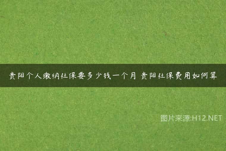 贵阳个人缴纳社保要多少钱一个月 贵阳社保费用如何算