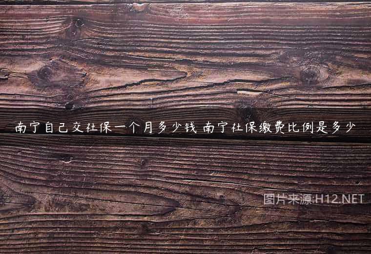 南宁自己交社保一个月多少钱 南宁社保缴费比例是多少
