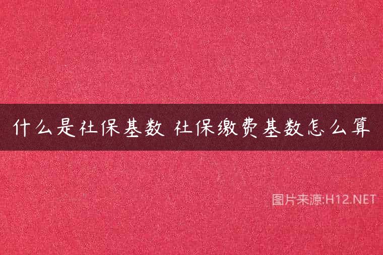 什么是社保基数 社保缴费基数怎么算