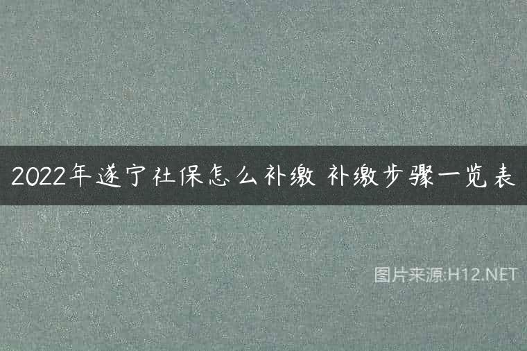 2022年遂宁社保怎么补缴 补缴步骤一览表