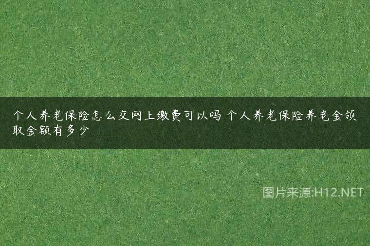个人养老保险怎么交网上缴费可以吗 个人养老保险养老金领取金额有多少