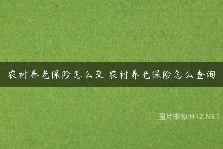 农村养老保险怎么交 农村养老保险怎么查询