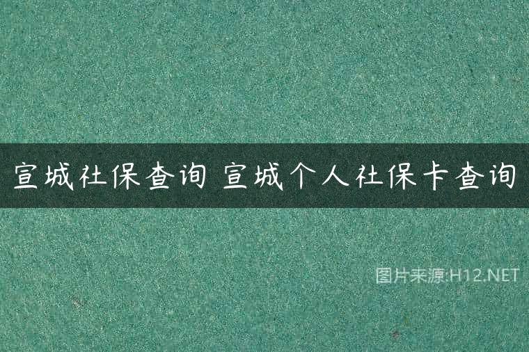 宣城社保查询 宣城个人社保卡查询