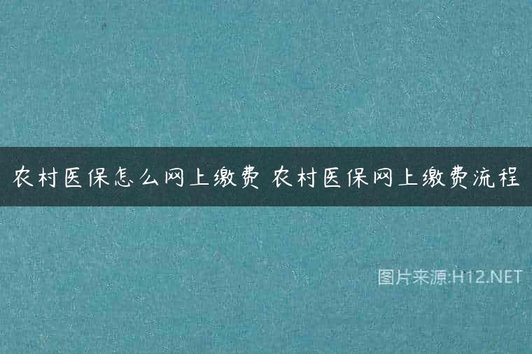 农村医保怎么网上缴费 农村医保网上缴费流程
