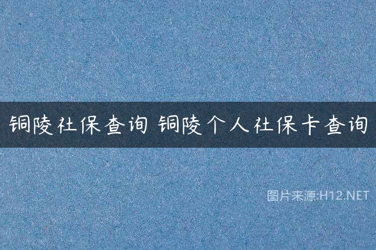 铜陵社保查询 铜陵个人社保卡查询