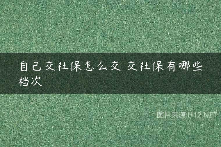 自己交社保怎么交 交社保有哪些档次