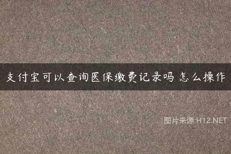 支付宝可以查询医保缴费记录吗 怎么操作