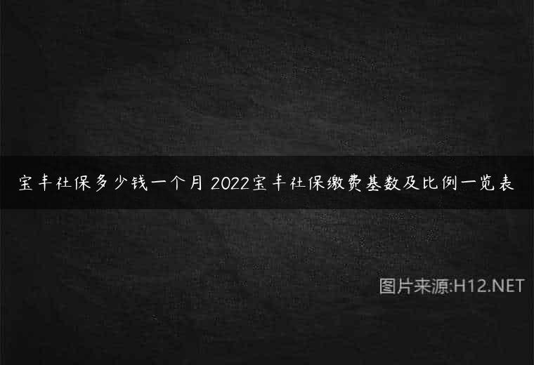 宝丰社保多少钱一个月 2022宝丰社保缴费基数及比例一览表