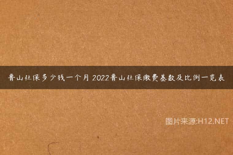 鲁山社保多少钱一个月 2022鲁山社保缴费基数及比例一览表