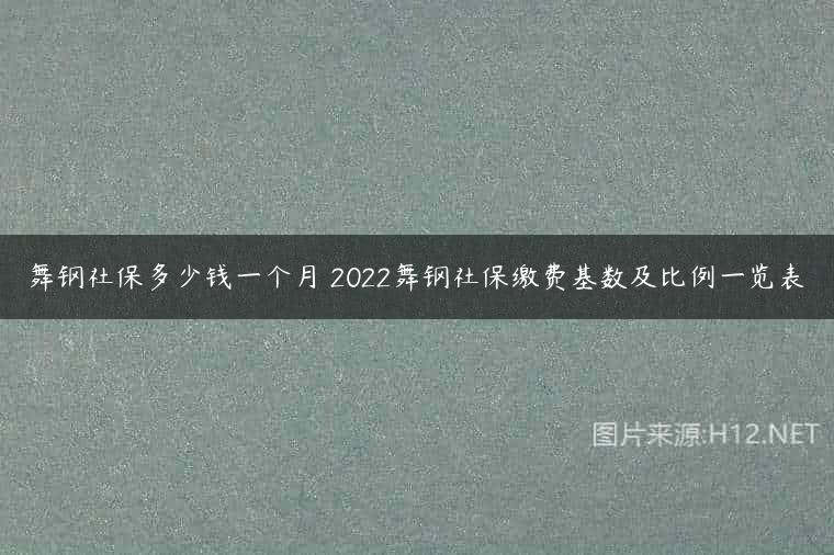 舞钢社保多少钱一个月 2022舞钢社保缴费基数及比例一览表