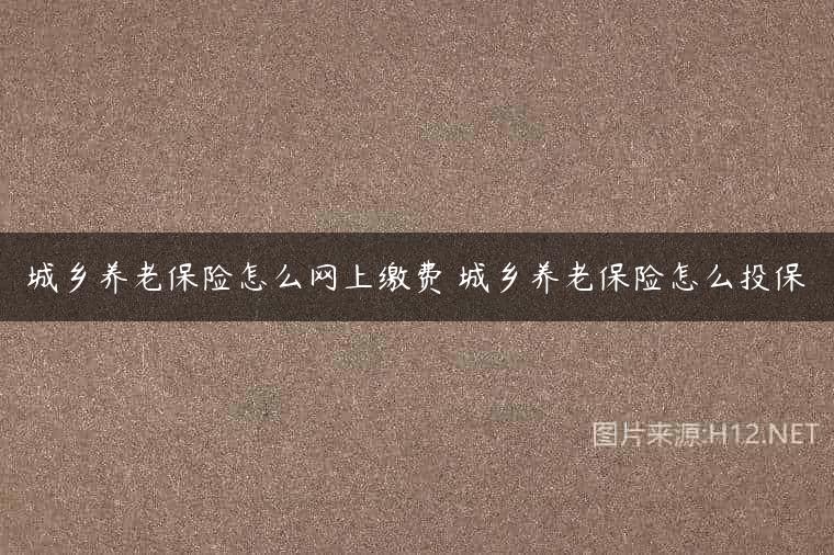 城乡养老保险怎么网上缴费 城乡养老保险怎么投保