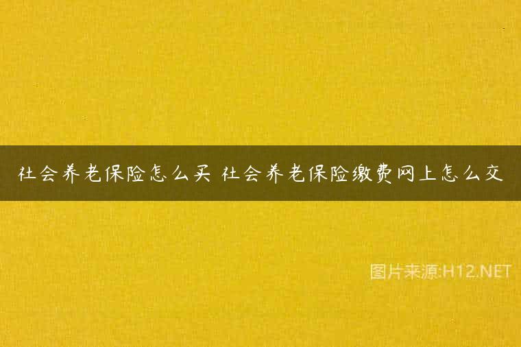 社会养老保险怎么买 社会养老保险缴费网上怎么交