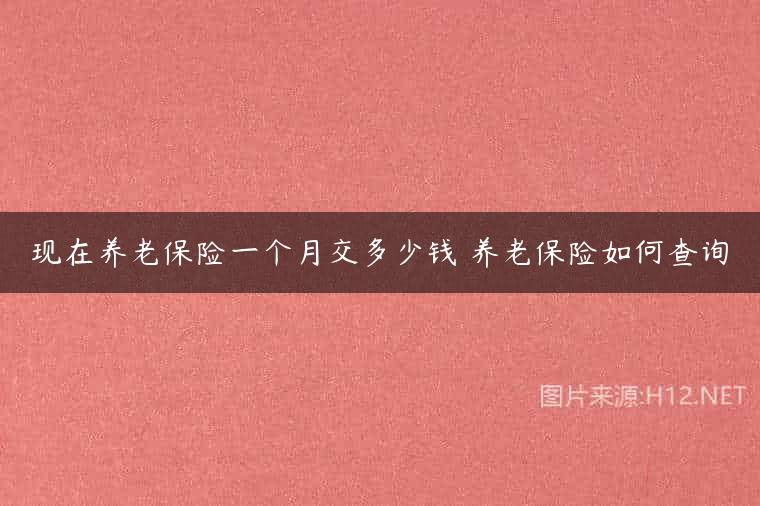现在养老保险一个月交多少钱 养老保险如何查询