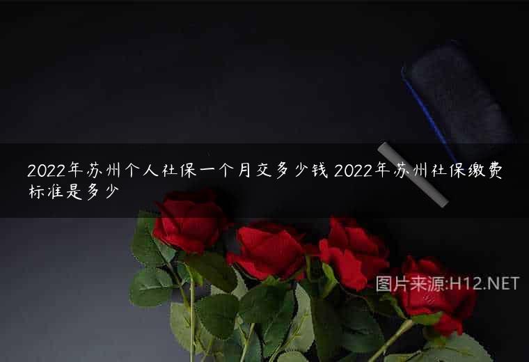 2022年苏州个人社保一个月交多少钱 2022年苏州社保缴费标准是多少