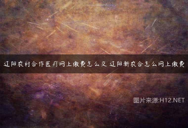 辽阳农村合作医疗网上缴费怎么交 辽阳新农合怎么网上缴费