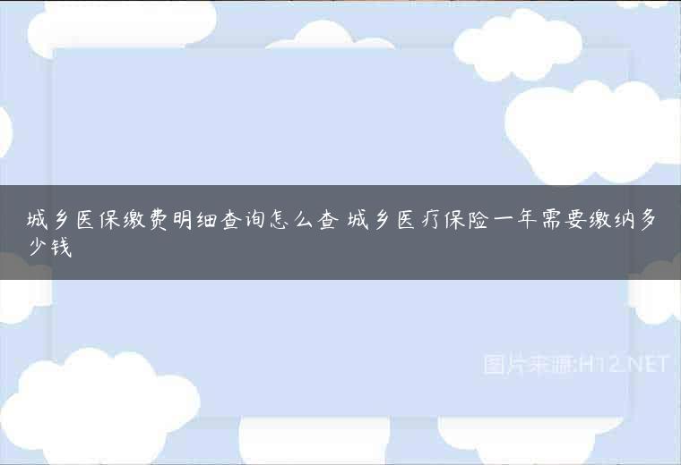 城乡医保缴费明细查询怎么查 城乡医疗保险一年需要缴纳多少钱