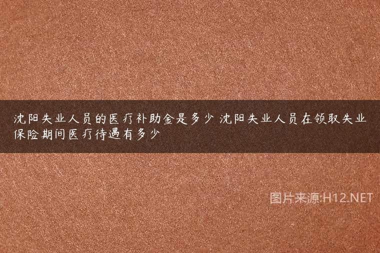 沈阳失业人员的医疗补助金是多少 沈阳失业人员在领取失业保险期间医疗待遇有多少